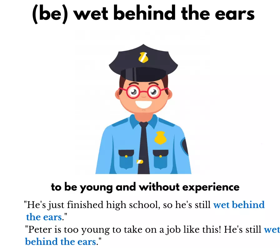 Wet behind the ears - Idiom theo chủ đề Business