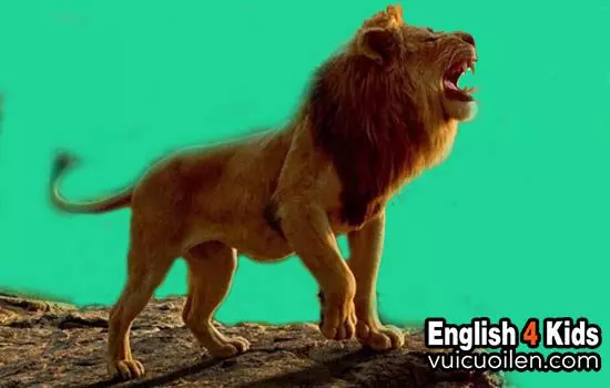 Con sư tử tiếng Anh là gì