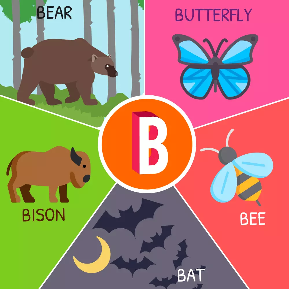 Tên các con vật bằng tiếng Anh bắt đầu bằng chữ B