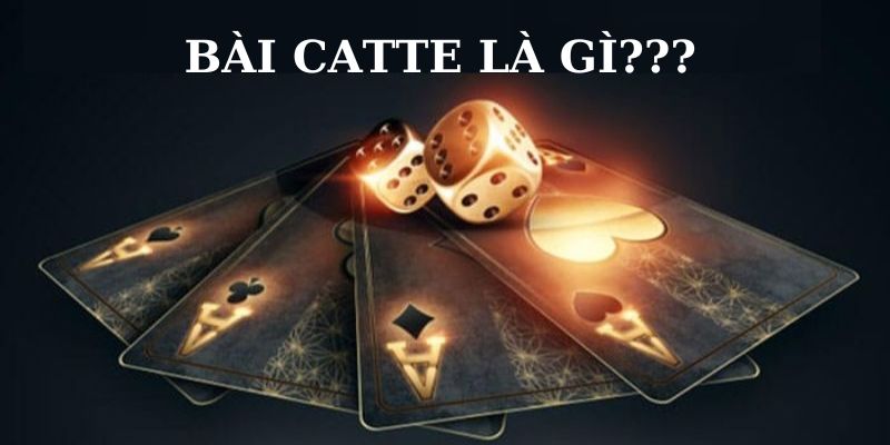 Bài Catte là gì?