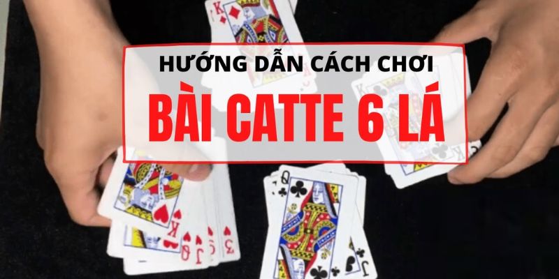 Mẹo hay nên nhớ để đánh bài Catte bất bại